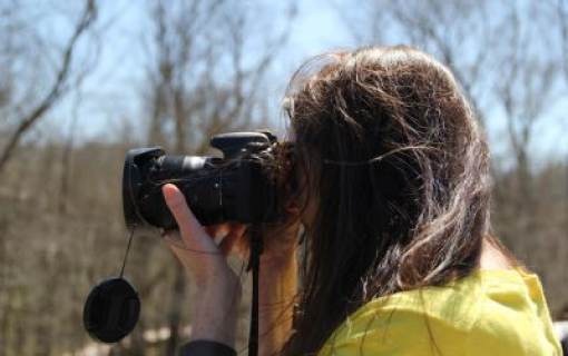 Birding Photography Walk