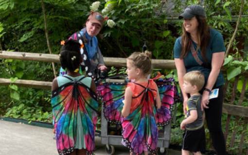 27th Annual Flying Colors Butterfly Festival