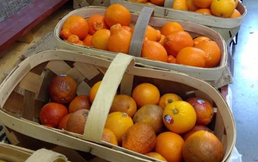 Canton Street Farmers Market