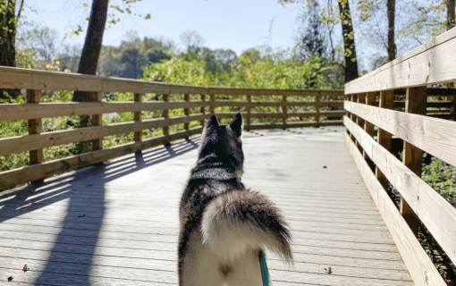 Roswell Riverwalk