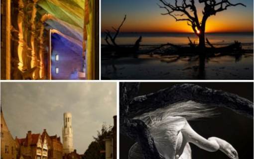 Roswell Photographic Society's 29th Annual Open Juried Exhibit