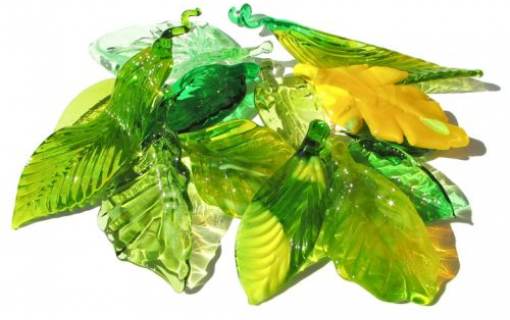 Summer Leaves