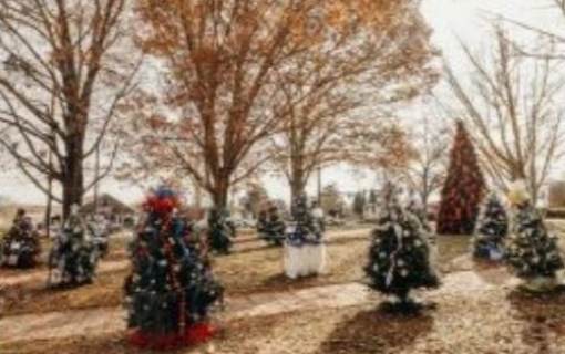 Call for Applications: Deck the Square