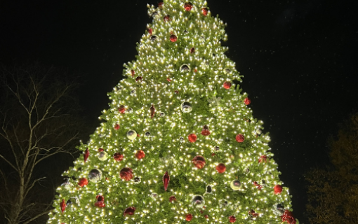 Roswell's Annual Lighting of the Christmas Tree