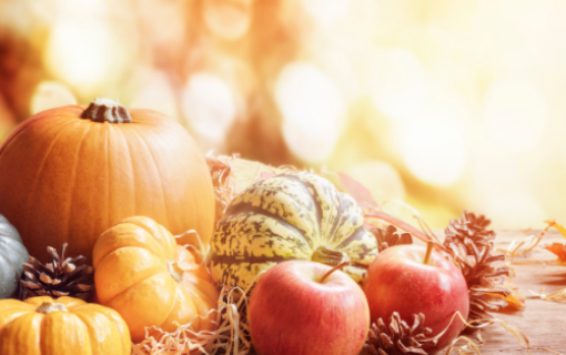 Free Food Distribution - Thanksgiving Giveaway