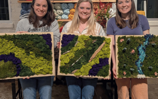 Create Beautiful Moss Wall Art