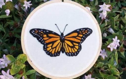 Intro to Hand Embroidery Workshop