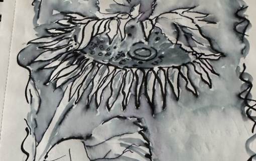 Watercolor with Pen & Ink Workshop