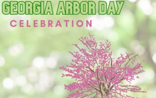 Georgia Arbor Day Celebration
