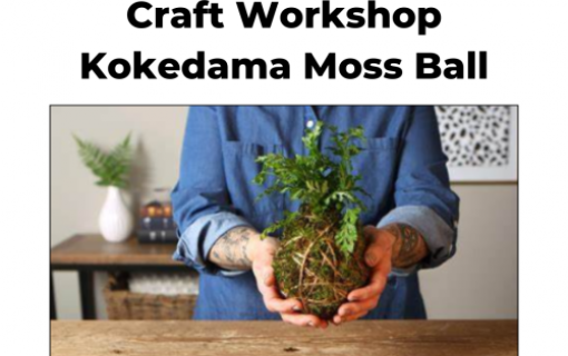 Kokedama Moss Ball Workshop