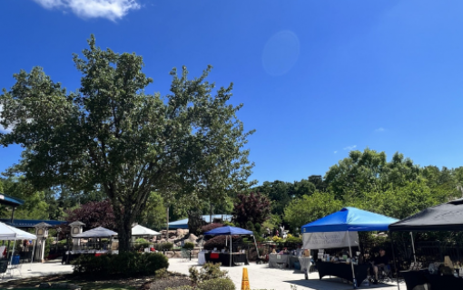 Spring Treasure Sale