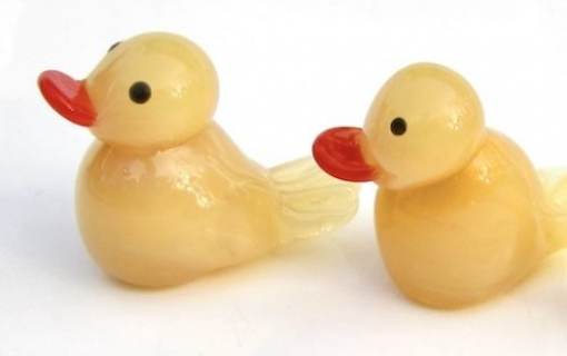 Beginner Class - Ducklings
