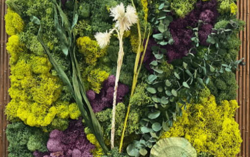 Create Beautiful Moss Wall Art