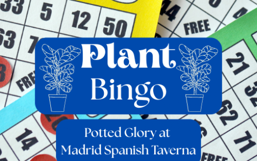 Plant Bingo with Potted Glory
