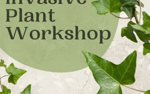Invasive Plant Workshop