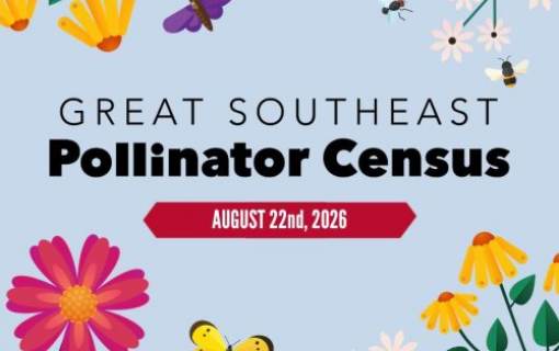 The Great Southeast Pollinator Census 2026