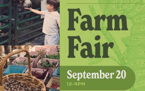 Back to your Roots Farm Fair