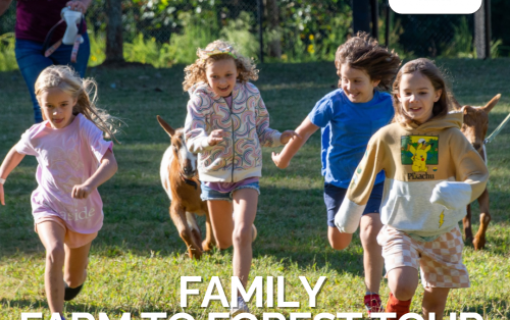 Family Farm to Forest
