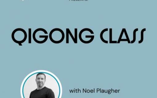 Qigong Class with Noel