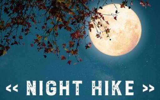 CNC Family Night Hike Credit Chattahoochee Nature Center