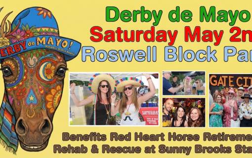 DDM Ros26 BT 720x450yellow