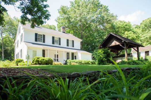 homes and trees in residential area of Roswell