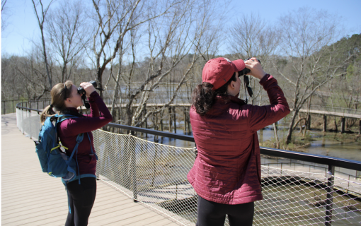 Screen Shot 2026 02 11 at 3 12 43 PM