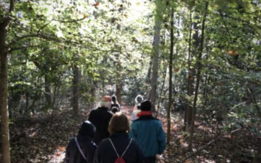 Screen Shot 2026 02 11 at 3 31 09 PM