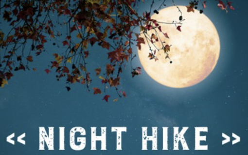 Screenshot 2026 02 23 at 6 21 14 PM