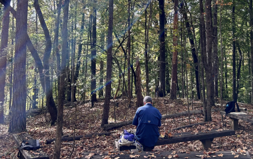 Screenshot 2026 03 16 at 12 43 27 PM