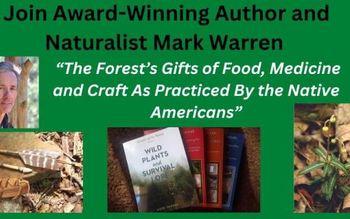 The Forests Gifts of Food Medicine and Craft 1